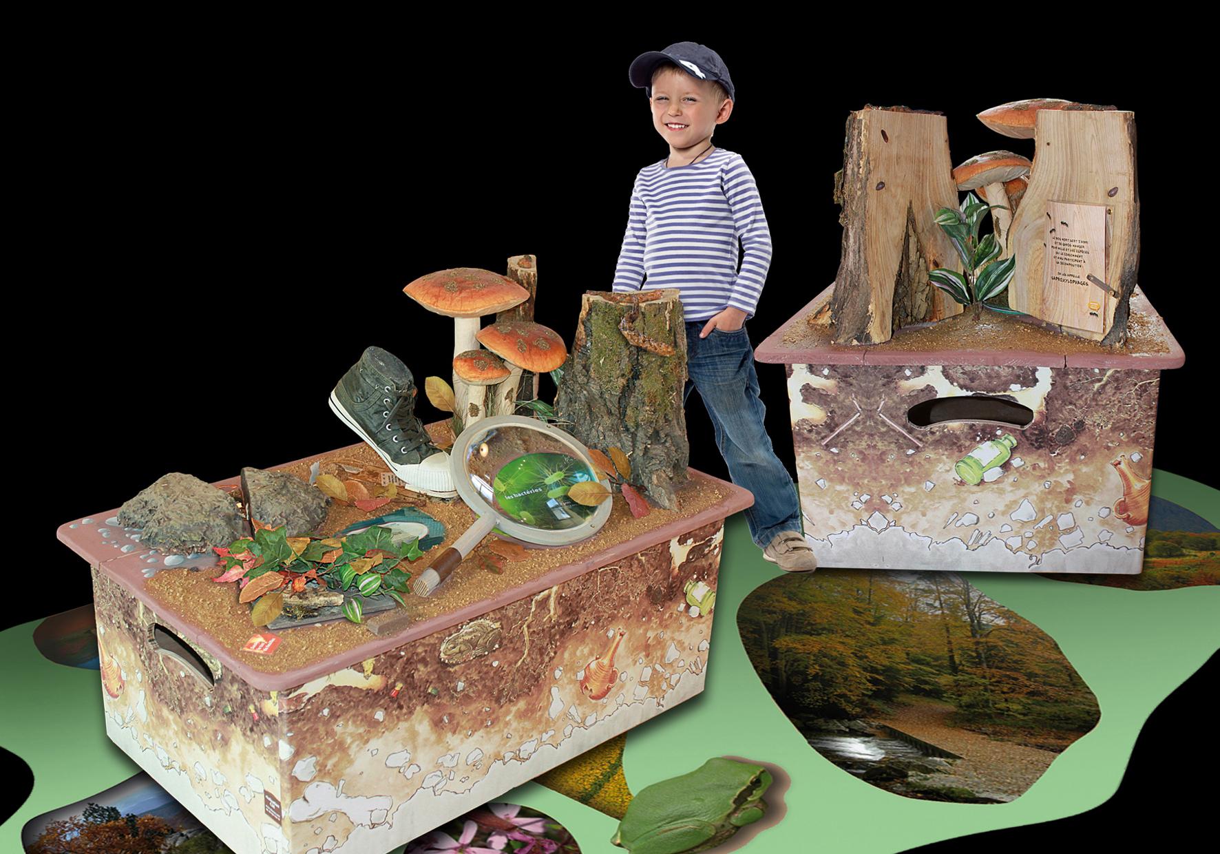 Exposition itinérante pédagogique sur la biodiversité en forêt CPIE