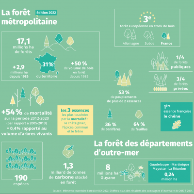 La forêt française